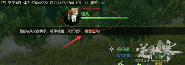 逆水寒如何获得猫咪宠物 逆水寒猫咪宠物获得方法介绍