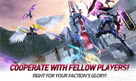 Fellow永恒沖突