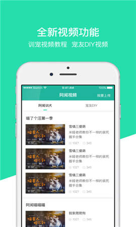 阿聞寵物