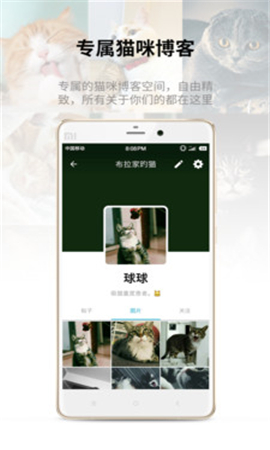 Catbook截圖欣賞
