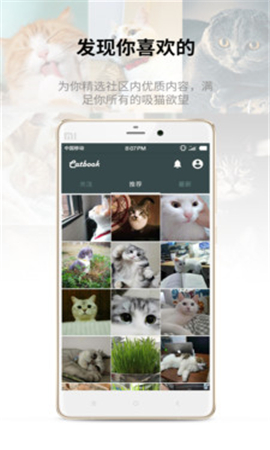 Catbook截圖欣賞