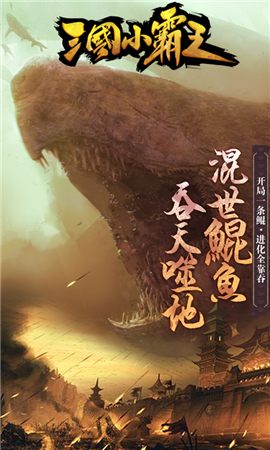 三國小霸王
