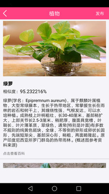 拍照識物截圖欣賞