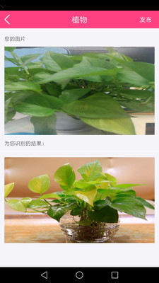 拍照識物