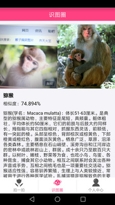 拍照識物