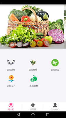 拍照識物
