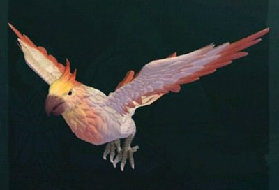 创造与魔法云斑鹦鸟位置在哪 创造与魔法云斑鹦鸟位置介绍