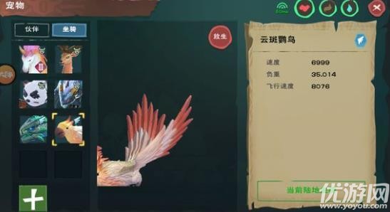 创造与魔法鹦鹉饲料怎么做 创造与魔法鹦鹉饲料配方介绍