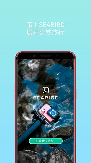 海鳥