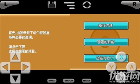口袋妖怪心金