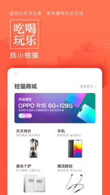 小桔貓