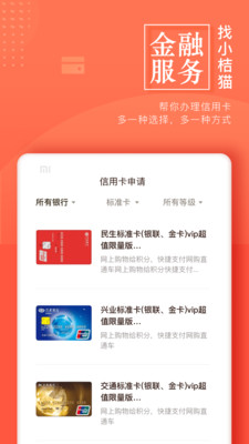 小桔貓