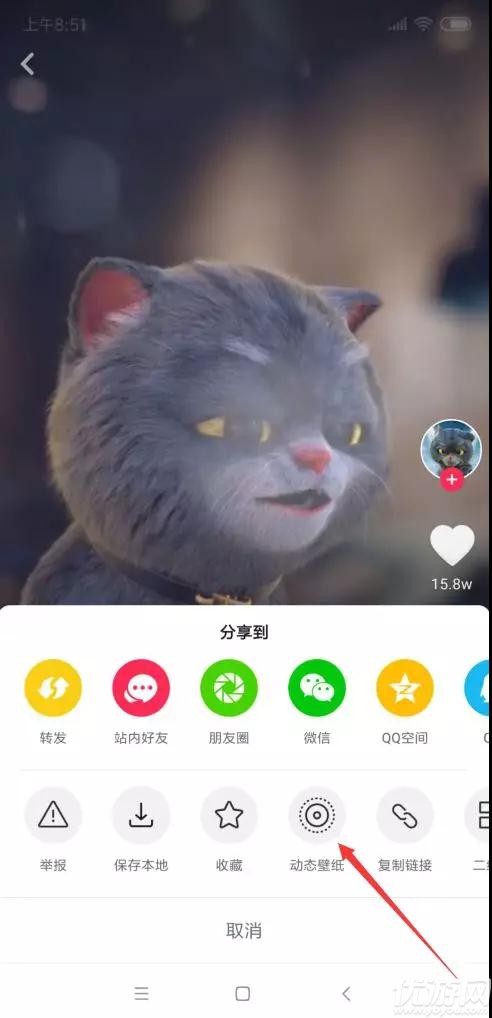 抖音斑布猫动态壁纸怎么设置 抖音斑布猫动态壁纸设置方法