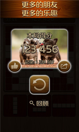 伍迪拼圖