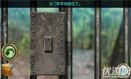 密林溪流