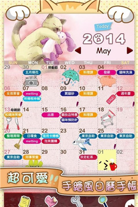 貓咪生活日志