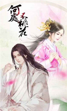 何處不桃花破解版