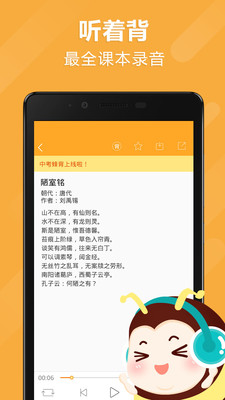 中考蜂背