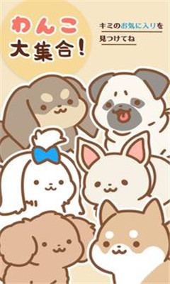 狗狗全明星