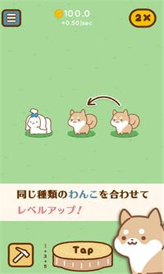 狗狗全明星