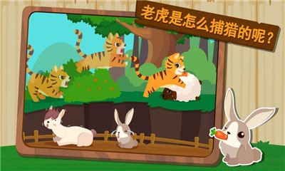 森林動物
