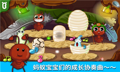 寶寶認(rèn)螞蟻