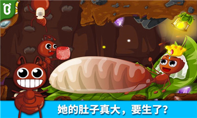 寶寶認(rèn)螞蟻截圖欣賞