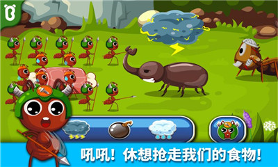 寶寶認(rèn)螞蟻
