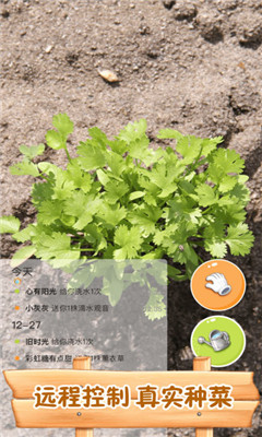 水滴農(nóng)場截圖欣賞