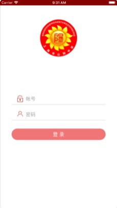 山中陽光