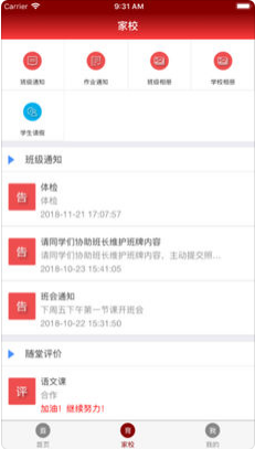 山中陽光