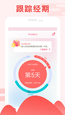 PinkBird