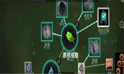 細(xì)胞奇點(diǎn)進(jìn)化