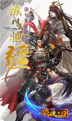 將魂三國(guó)果盤版