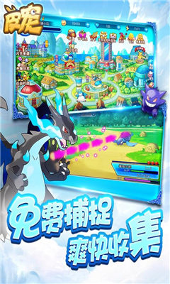 皮寵