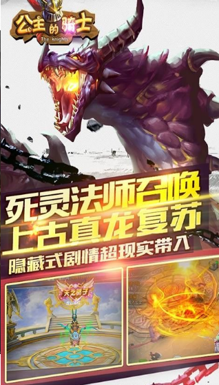 公主的騎士