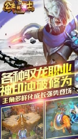 公主的騎士