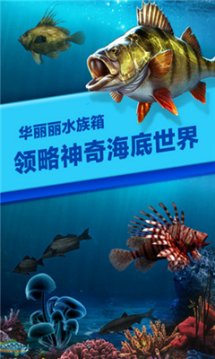 釣魚時代