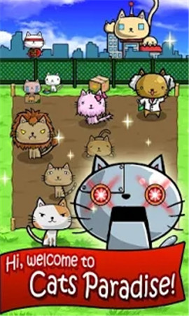 貓咪星球便便