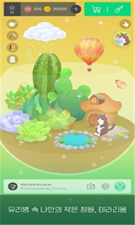 我的小小玻璃花園