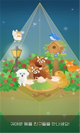 我的小小玻璃花園