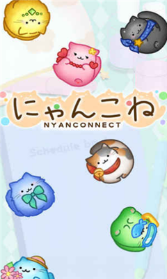 貓咪連結
