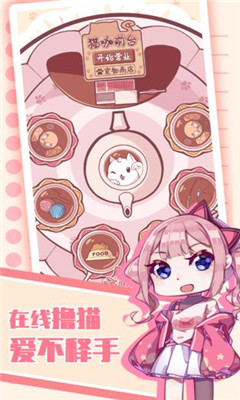 云擼貓咪