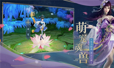 帝火丹王
