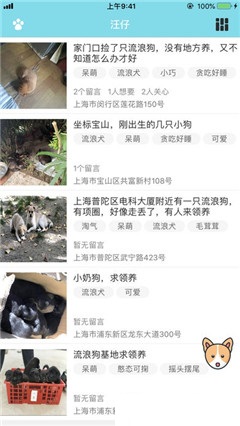 汪仔