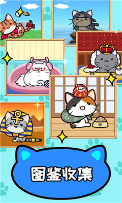 CatCondo2