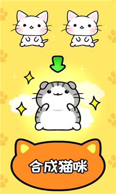 CatCondo2