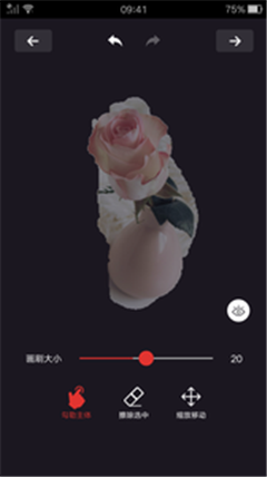 摳圖大師