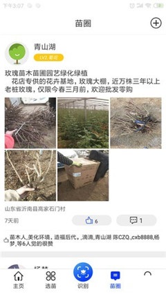 苗木之家
