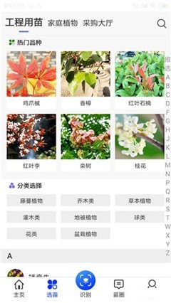 苗木之家